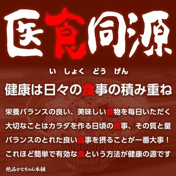 雑穀 雑穀米 国産 大豆ミート(ミンチ) 1kg(500g×2袋) 送料無料 畑のお肉 ビーガン ベジタリアン ダイエット食品 ソイミート 雑穀米本舗