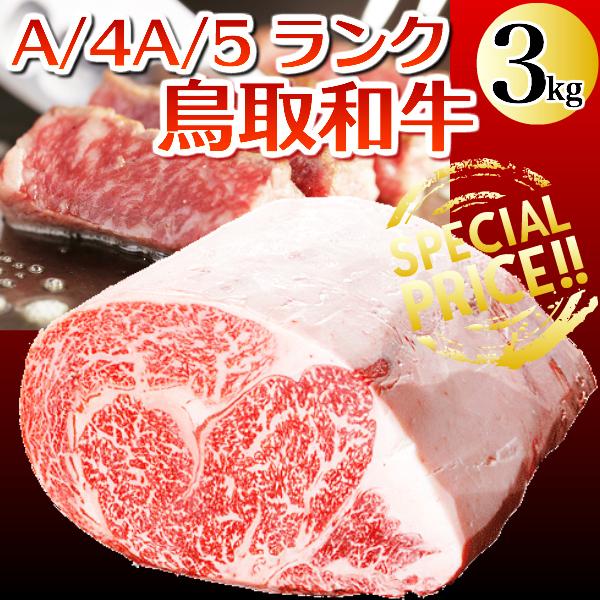 ギフト 鳥取和牛 （黒毛和牛肉） 鳥取県産 サーロイン ロースブロック肉 ３キロブロック 送料無料