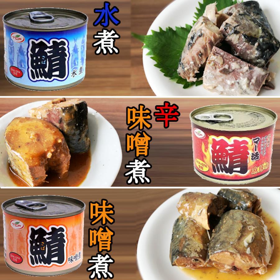 鯖缶  詰め合わせ 200gｘ48缶 （サバ 水煮 味噌煮 イカ味付） まとめ買い  おつまみ 鯖 缶詰 アテ 酒の肴 おつまみセット 送料無料