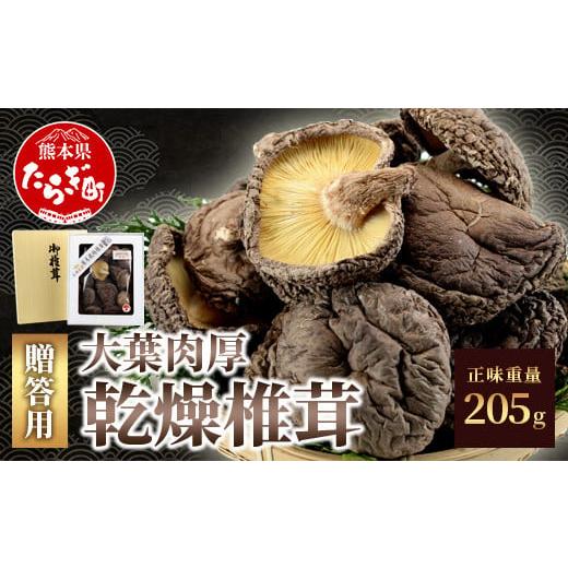 ふるさと納税 熊本県 多良木町 多良木町 槻木産  大葉厚肉 乾燥椎茸 205g 　【 しいたけ 乾燥 シイタケ 原木 大葉 果肉 和食 肉厚 国産 熊…