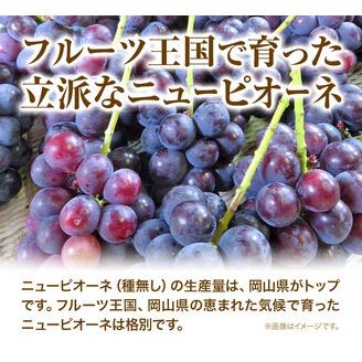 ふるさと納税 ニューピオーネ 2房 1kg ウィズフラワーホールディングス《9月上旬-10月中旬頃出荷》岡山県 浅口市 ぶどう ピオーネ フルーツ 旬 .. 岡山県浅口市