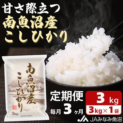 ふるさと納税 南魚沼市 南魚沼産こしひかり 精米 3kg全3回