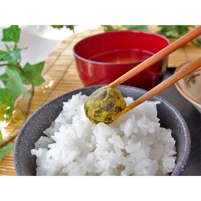 一口なすのからし風味 250g×4袋(ピリッとした辛さと芳醇な香りが魅力の茄子粕漬けです) ナスビの漬物 辛しの粕漬