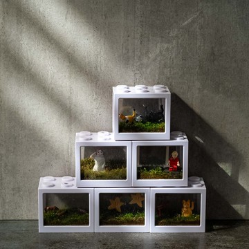 積木裡的苔蘚世界