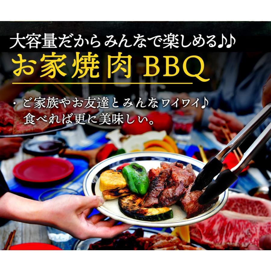 焼肉 BBQ 牛肉 肉 カルビ ハラミ お手軽 焼肉セット 1.5kg