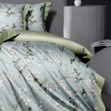 LoveCity 寢城之戀 萊賽爾纖維吸濕排汗 兩用被床包組 台灣製  雙人  暮春綠  被子 + 床墊套 + 枕套組