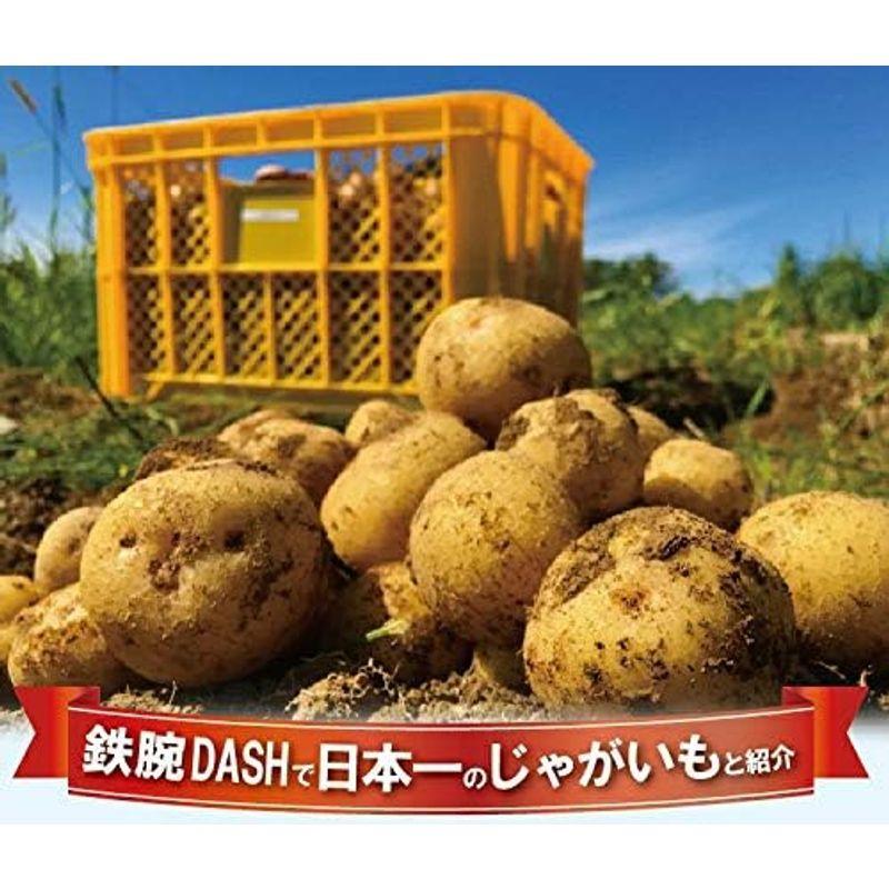 じゃがいも 長崎県 島原産 馬鈴薯 新じゃが ご家庭用 10kg