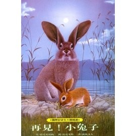 再見!小兔子【絕版】[二手書_良好]