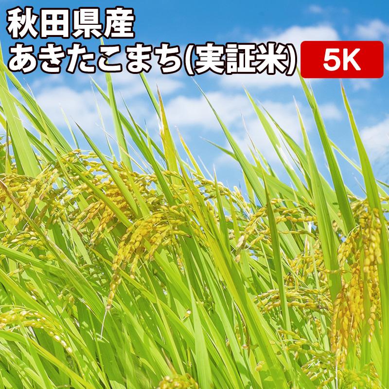 玄米 5kg 真空パック（5kg×1袋） 実証米 秋田県産 あきたこまち 令和4年産 精米無料 真空パック無料 送料無料