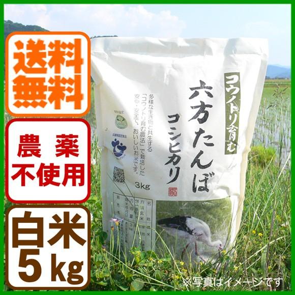 新米 白米 農薬不使用 コシヒカリ5kg 令和5年産 コウノトリを育む農法 送料無料 お米 兵庫県産