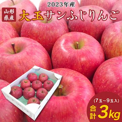 ふるさと納税 寒河江市 山形県産大玉サンふじりんご 3kg (7〜9玉入り)