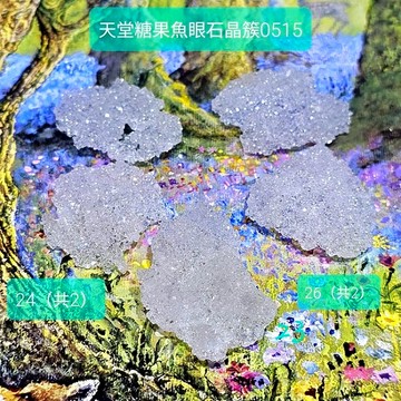 天堂糖果魚眼石晶簇0515-24&26（2個一組） Apophyllite ~適合珠寶金工設計搭配/冥想/水晶排列用