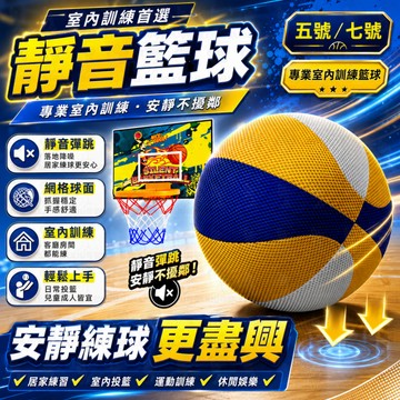 靜音球 彈力超3米 1比1超重高彈620g 訓練球 靜音籃球 交換禮物 拍拍球 無聲籃球 籃球框 彈力球