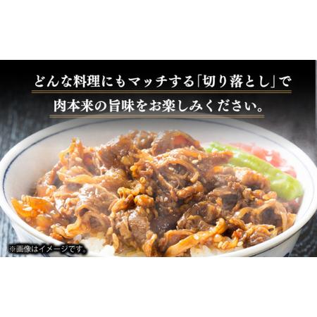 ふるさと納税 長崎和牛 切り落とし 600g (300g×2) 回[DBL022]  長崎 小値賀 牛 牛肉 黒毛和.. 長崎県小値賀町