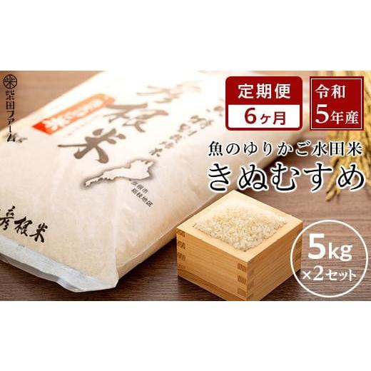 ふるさと納税 滋賀県 彦根市 令和5年産 新米滋賀県認証！魚のゆりかご水田米「きぬむすめ」白米 5kg×2セット