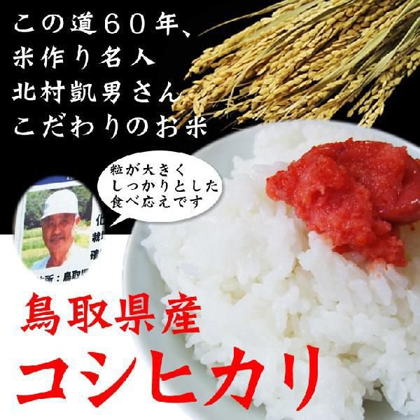 令和5年産 新米 鳥取県産 極太米 コシヒカリ  10kg  送料無料  常温