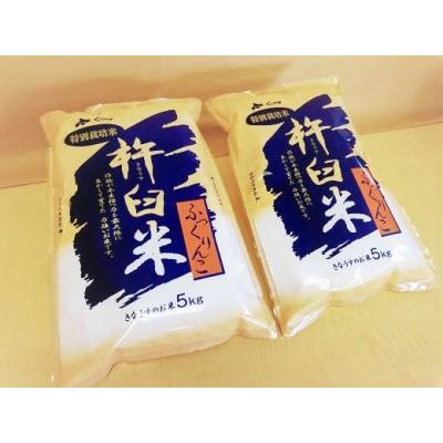 ふるさと納税 特別栽培「きなうす米」ふっくりんこ10kg×12回 北海道栗山町