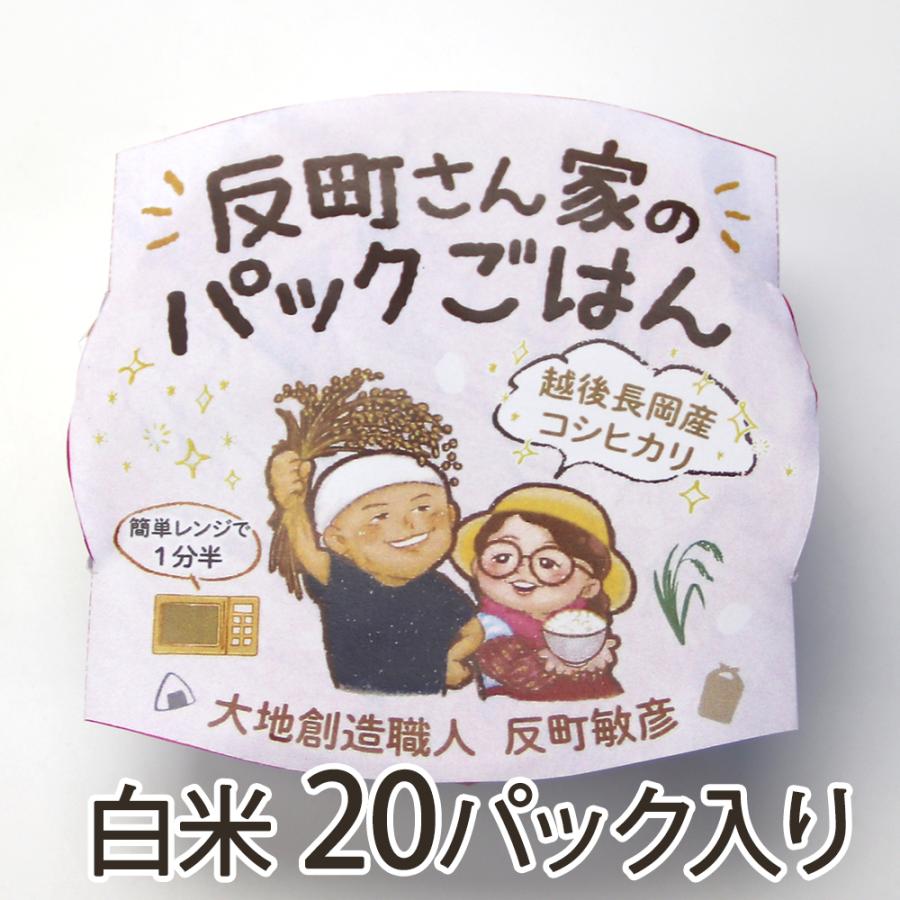 パックごはん 白米 20パック入り 大地創造職人 反町敏彦 送料無料