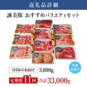 ふるさと納税 『定期便』_諫美豚(かんびとん)おすすめバラエティセット3kg_全11回 長崎県諫早市