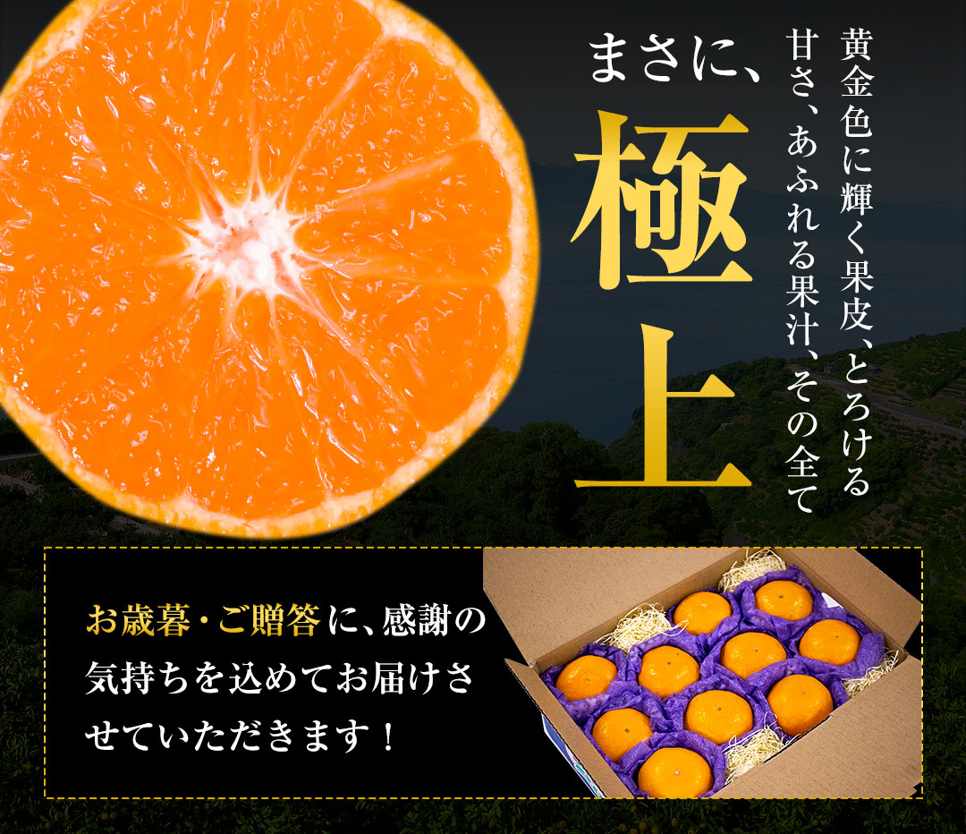 夢の恵 みかん 2.5kg前後(20玉〜30玉前後) 糖度12度以上 ブランド みかん ブランド 贈答用 糖度 12度 以上 熨斗 7-14営業日以内に発送予定(土日祝日除く)