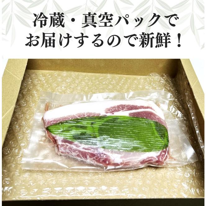 お試し用 ブランド豚「ばんぶぅ」ロース 200g 茨城県産 真空パック 冷蔵