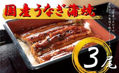 国産　うなぎ蒲焼3本セット 	Y009