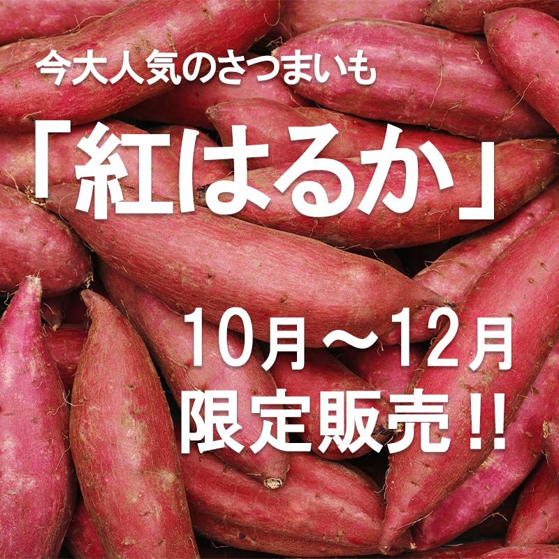 熊本県産訳あり 紅はるか 3ｋｇ 大中小サイズ混合（不選別）Ｂ級品 さつまいも 期間限定　生芋　から芋　サツマイモ　はるか　訳あり