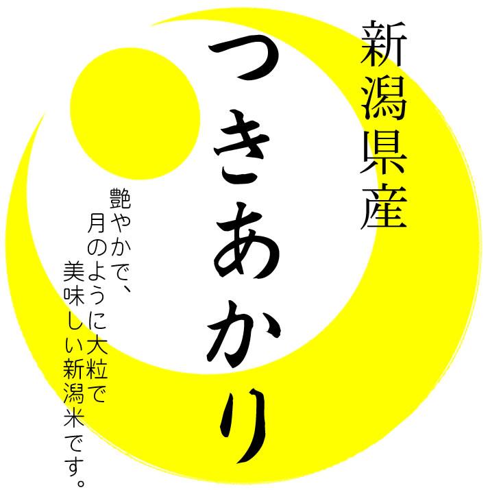 つきあかり 新米 米10kg 新潟県産 大粒で艶やかな 令和5年産