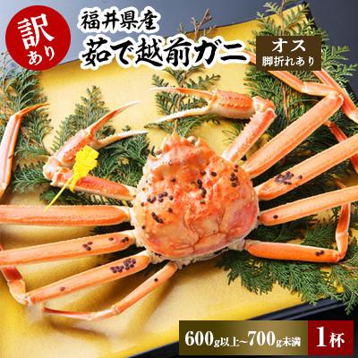 ふるさと納税 若狭町 訳あり茹で越前ガニ　600g以上〜700g未満×1杯(脚折れあり)