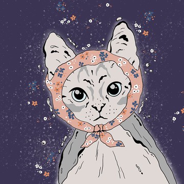 生日禮物和特殊日子禮物/畫布印刷/頑皮貓