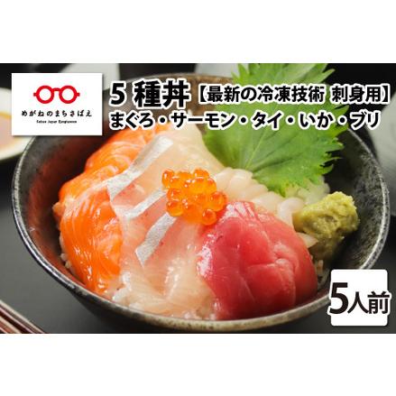 ふるさと納税 海鮮丼の具5種盛り（マグロ・サーモン・タイ・イカ・ブリ）60g（タレ付）× 5人前【.. 福井県鯖江市