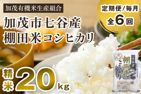 新潟県加茂市 七谷産 棚田米コシヒカリ 精米20kg（5kg×4）白米 加茂有機米生産組合 定期便 定期購入 定期 コシヒカリ 新潟県産コシヒカリ 米 お米