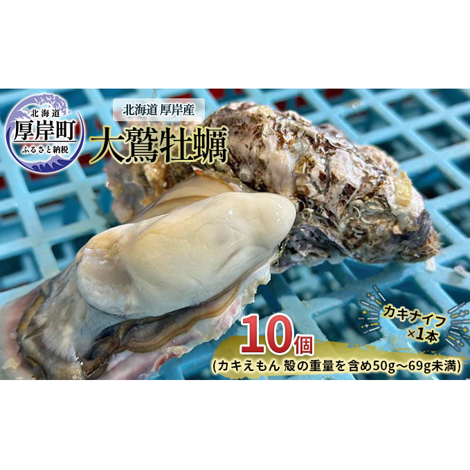 北海道 厚岸産 大鷲牡蠣 10個