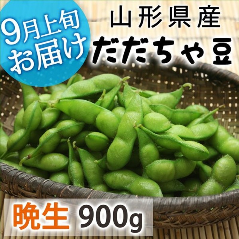 486円 肌触りがいい 枝豆 おつまみ お取り寄せ だだちゃ豆 500g 山形県