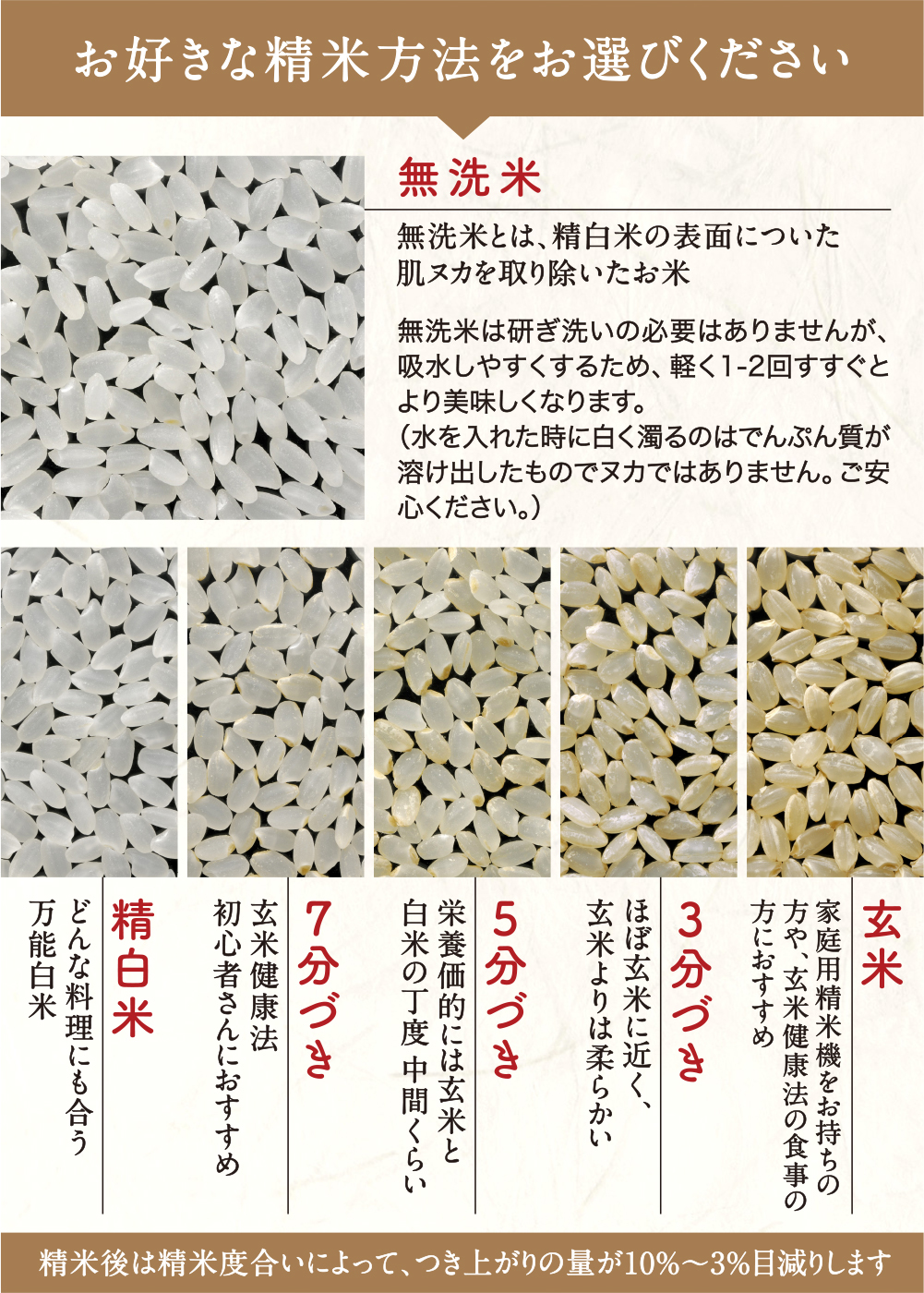 無洗米 10kg コシヒカリ 富山県産 令和5年産 こしひかり 送料無料 玄米 白米