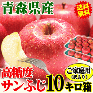 出荷中！青森 りんご 10kg箱 サンふじ ご家庭用 訳あり りんご 訳あり 10キロ箱 大小様々★サンふじ 家訳 10kg箱