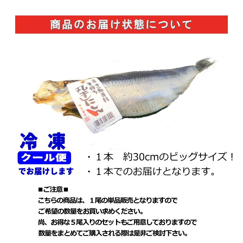 子持ち にしん 一汐干し 約30cm 丸干し・子持にしん丸干し・