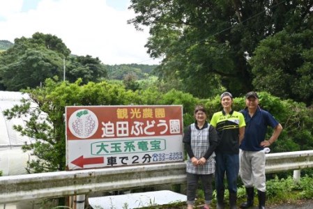 かいもん不知火5kg(迫田果樹園 016-1207)