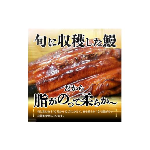 ふるさと納税 香川県 坂出市 源内 うなぎの蒲焼 1尾 150g × 1尾 香川県産 ｜ うなぎ 蒲焼 たれ・粉山椒付き