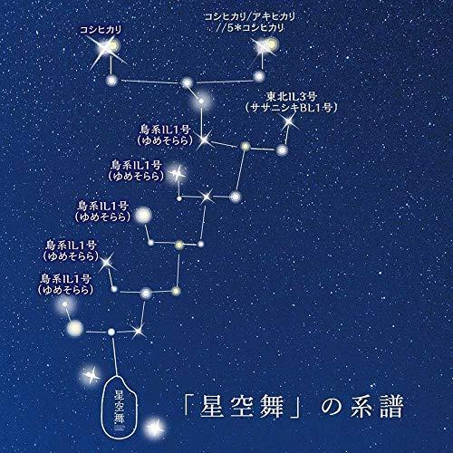 星取県の新しいお米 令和5年産 新米 星のように輝く美味しさ 鳥取県産 星空舞 白米（精米） 5kg 西日本