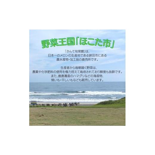 ふるさと納税 茨城県 鉾田市 年4回お届け　特選旬の野菜セット