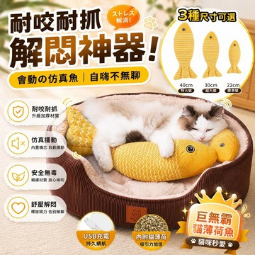⭐️現貨⭐️貓薄荷魚玩具 耐咬耐抓抱枕 貓咪磨牙踢踢魚 仿真魚造型陪玩娃娃 22 30 40cm可選 居家互動解悶