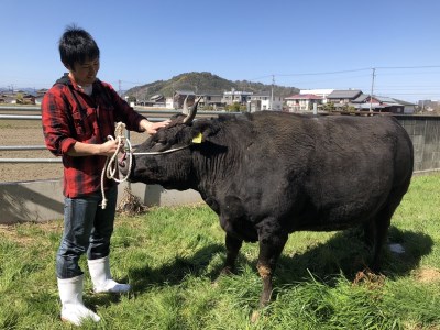 WT-02　松阪牛ロースすき焼き用800ｇ　丹精込めた松阪牛を牧場直営店からお届け！