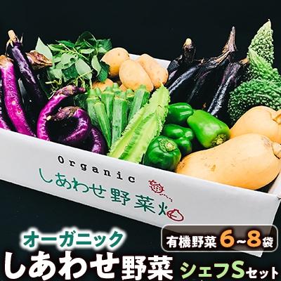 ふるさと納税 掛川市 　オーガニック野菜　「シェフSセット」