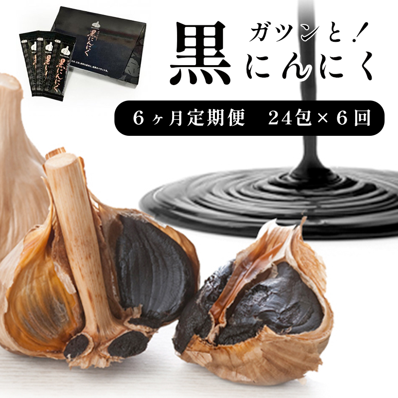 ガツンと！ 黒にんにく 24包×6回 6ヶ月 ペースト 大蒜 舞鶴産黒ニンニク