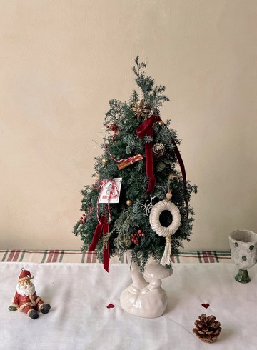 蘑菇森林 聖誕樹 永生雪松 聖誕裝飾 禮物