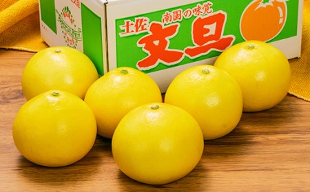 土佐文旦贈答用約3ｋｇ（森本果樹園）