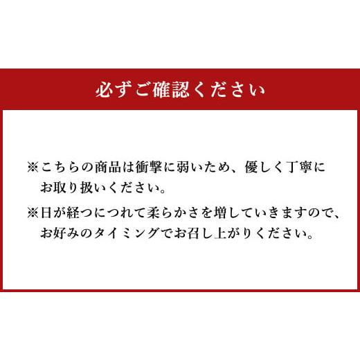 ふるさと納税 熊本県 菊池市 モッツァレラチーズ 「ミル爆」計600g（100g×6個）チーズ