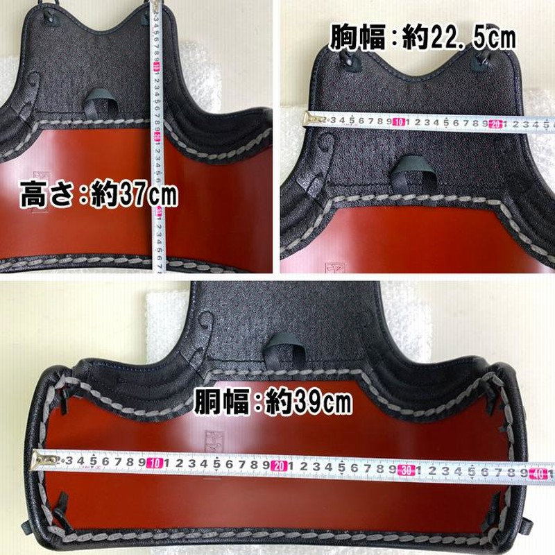 選べる胴台18種類 剣道具 剣道防具 単品 胴 鬼雲飾 変わり塗胴