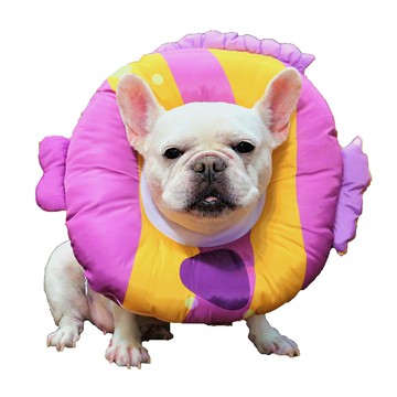 造型式防舔咬項圈-可拆洗 親吻魚